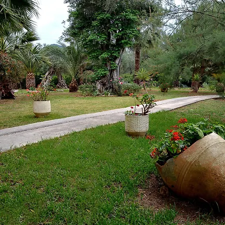 Cnic Gemini Otel Mesongí