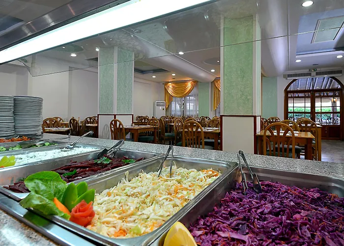 Отель Cnic Gemini