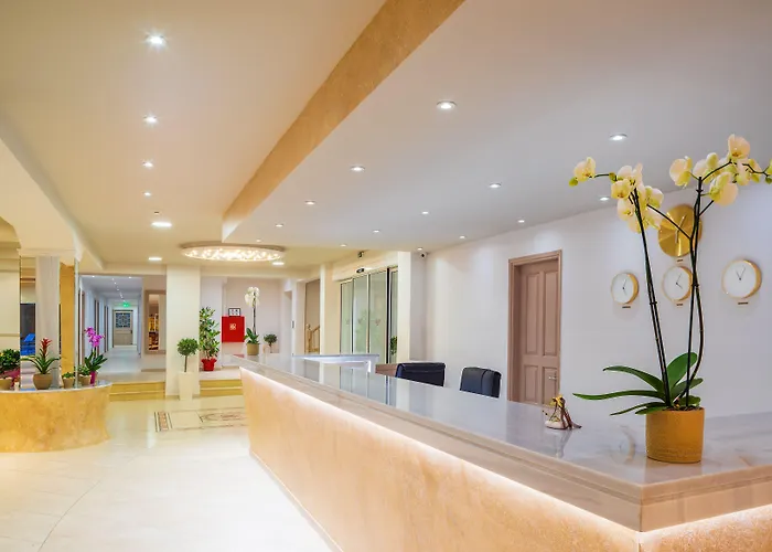 Cnic Gemini Месонги