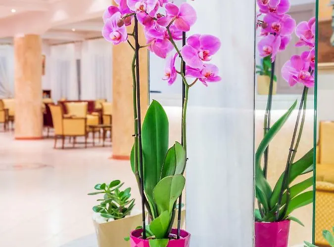 Отель Cnic Gemini Месонги