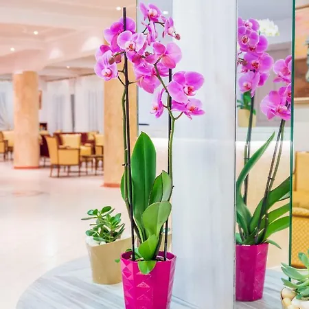 Hotel Cnic Gemini Mesongi