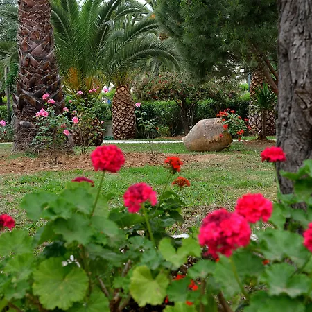 Cnic Gemini Mesongí