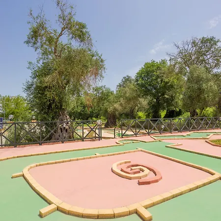 Cnic Gemini Meszongí